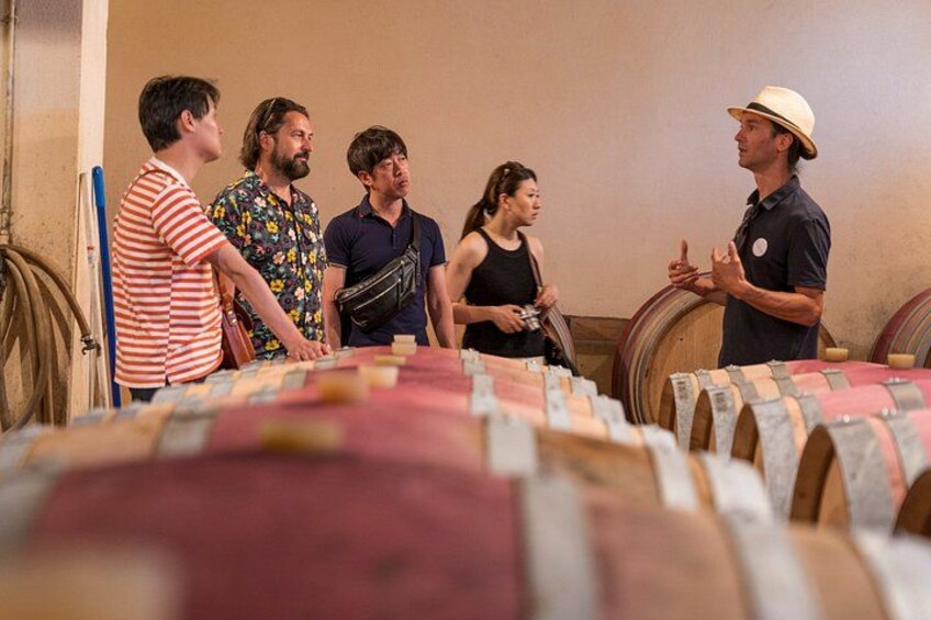 Morning Wine Tour to Chateauneuf du Pape from Avignon 3