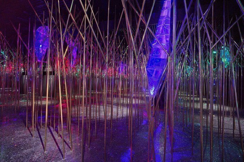 Innsbruck and Swarovski Crystal Worlds Private Tour from Salzburg 2