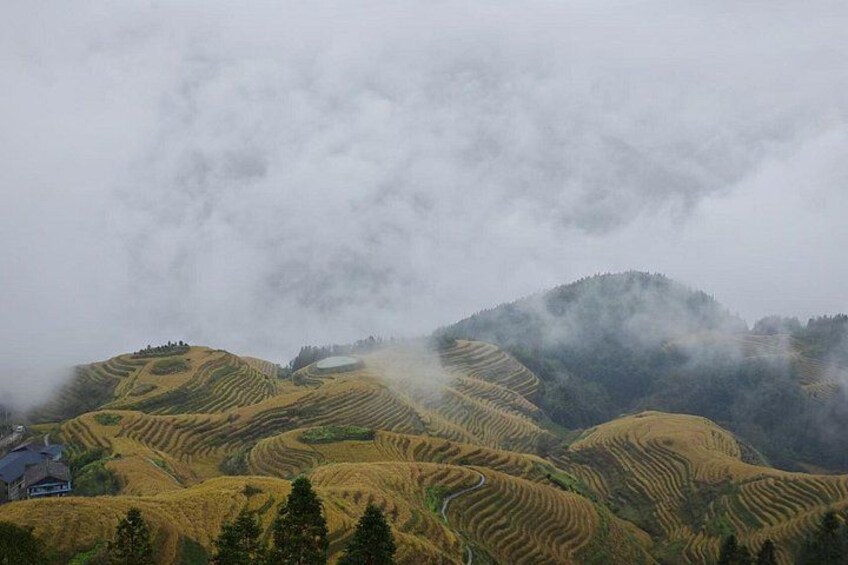 One day longji rice terraces tour 2