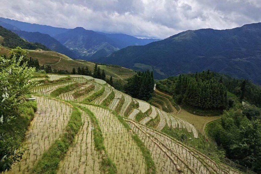 One day longji rice terraces tour 2