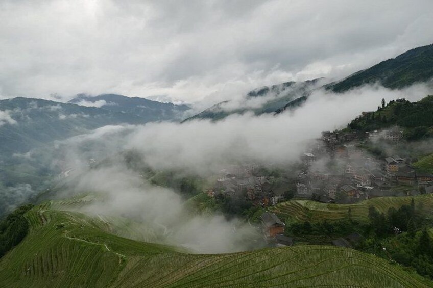 Spring rice terraces 4