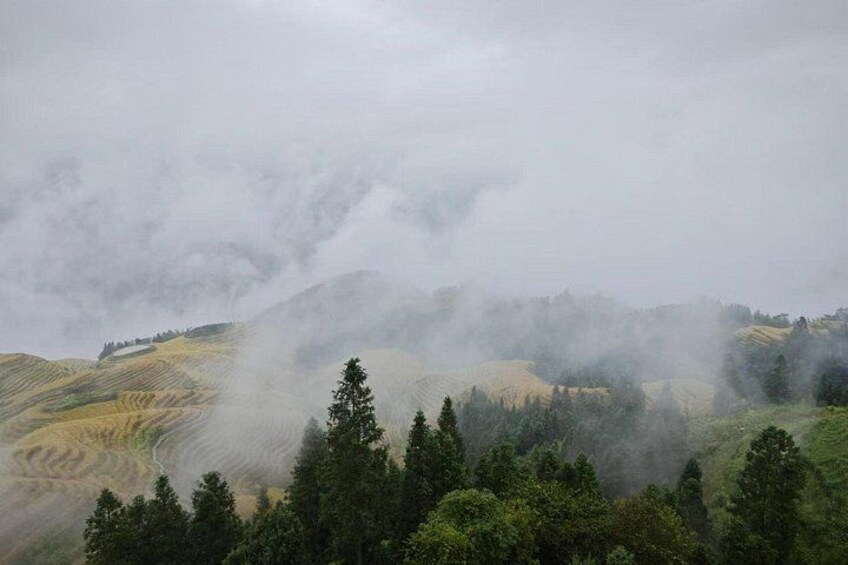One day longji rice terraces tour 3