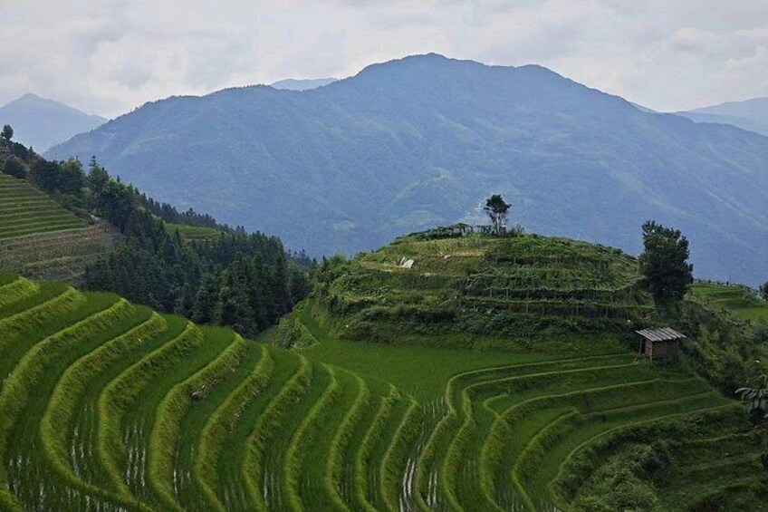 One day longji rice terraces tour 2