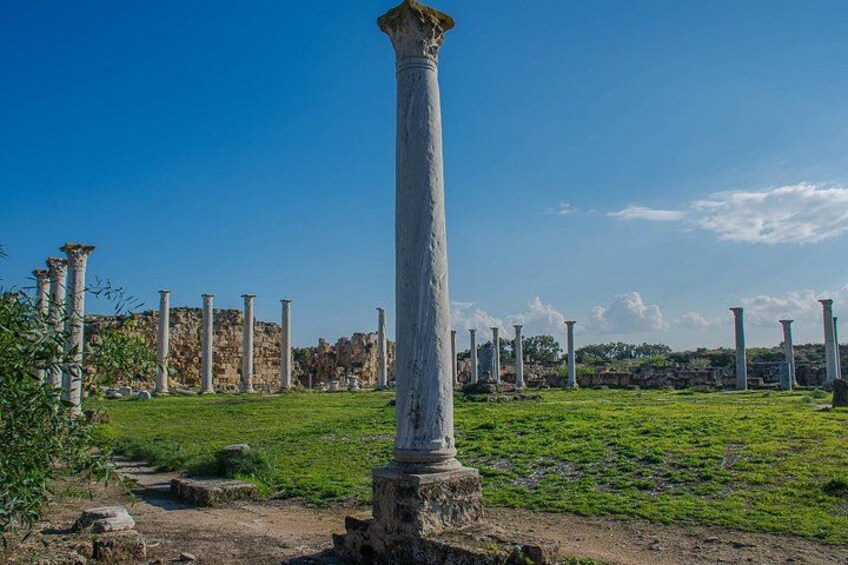 Ancient ruins with columns and a grassy field. 3