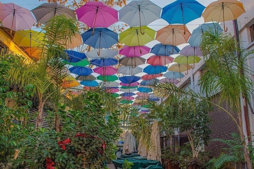 Un corridoio decorato con ombrelli colorati appesi al soffitto, circondato da vegetazione rigogliosa. 4