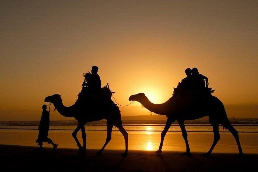Essaouira Private Full Day Trip From Marrakech 5