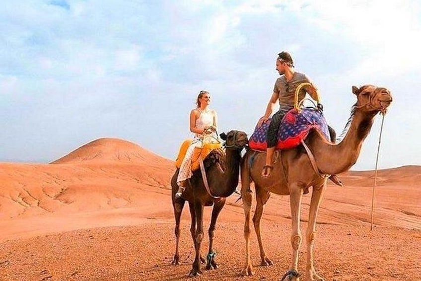 Dos camellos con jinetes en un paisaje desértico. 3