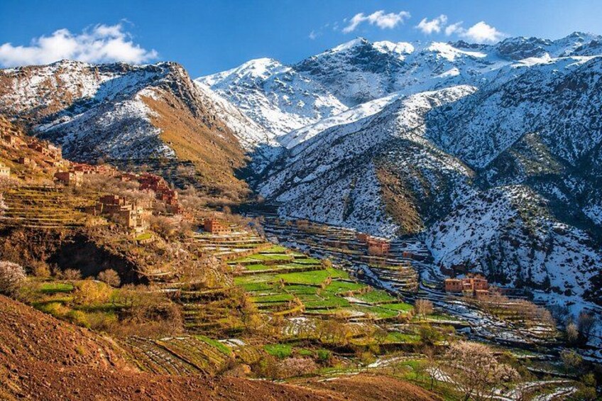 Un paisaje montañoso con campos en terrazas y picos nevados. 3