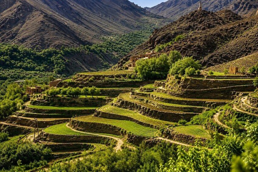 Terraced agricultural fields, a mountain, and a small building. 2