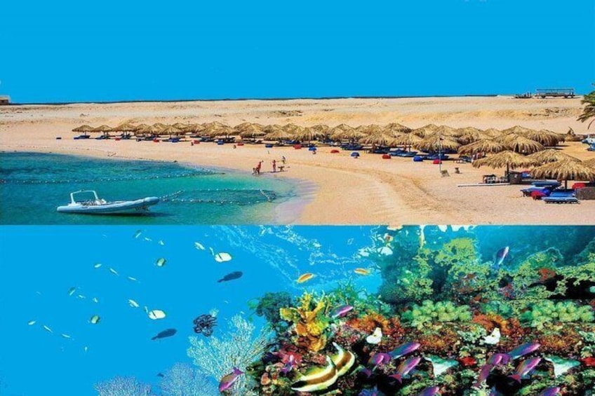 Sharm El-Naga 1