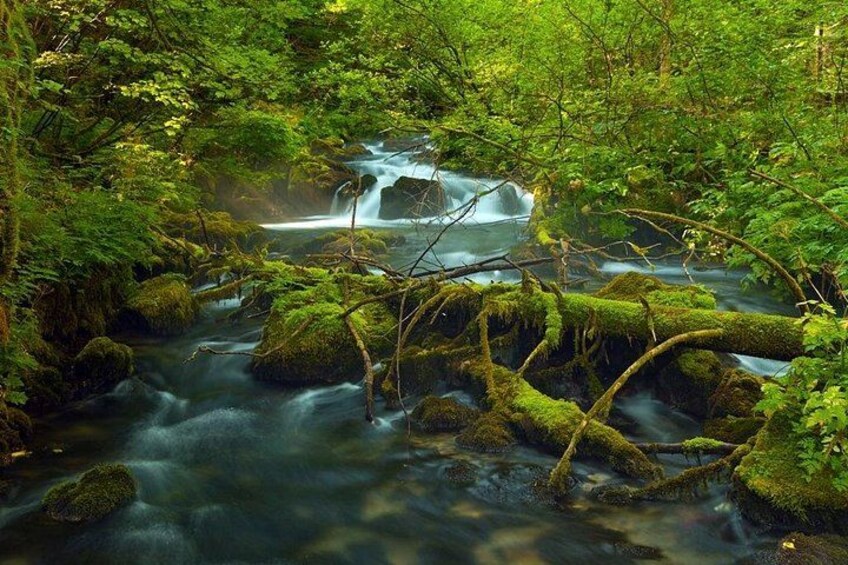 Plitvice Lakes Private Guided Walking Tour 3