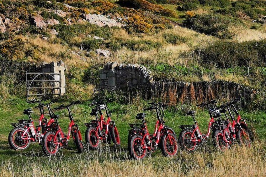 Dublin Panoramic e-Bike Tour with Howth Adventures 2