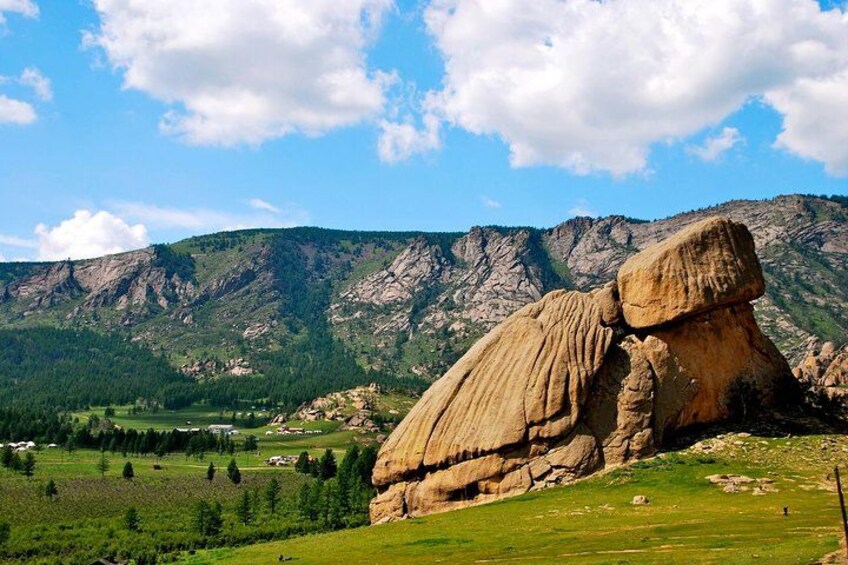 Turtle Rock 4