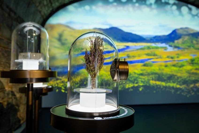 Dublin EPIC Museum Admission Ticket 2