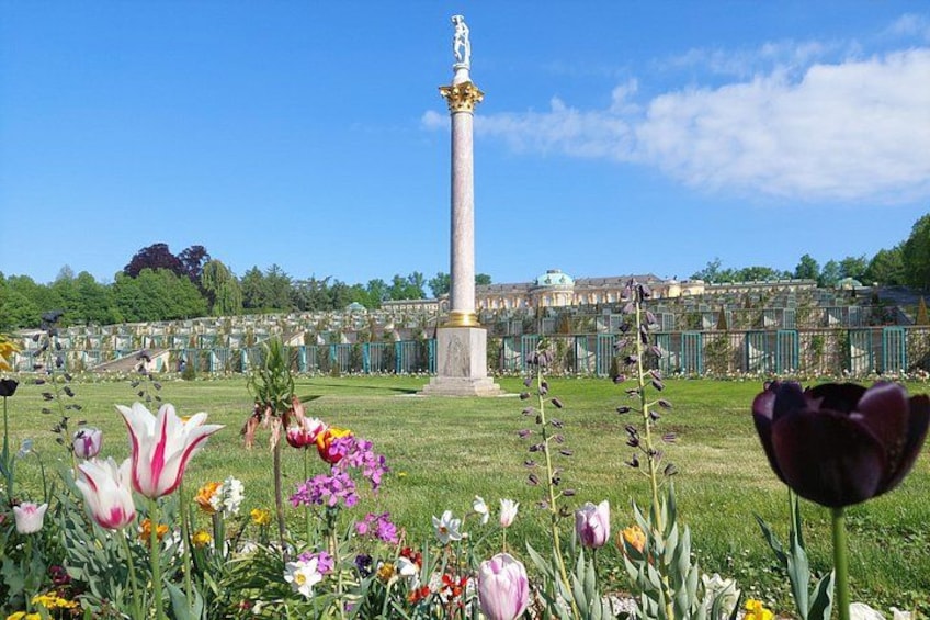 Potsdam Half-Day Walking Tour from Berlin 3