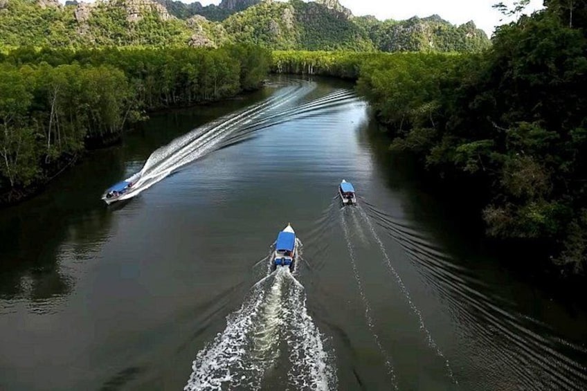 A river with two boats, one larger and one smaller, surrounded by dense greenery. 3