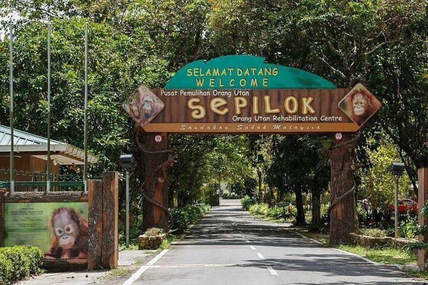 Sepilok Orang Utan, Sun Bear & Sandakan Nature City Tour + Lunch 5
