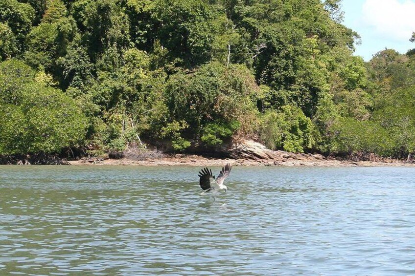 Langkawi Island Hopping Boat Tour with Return Transfer 2