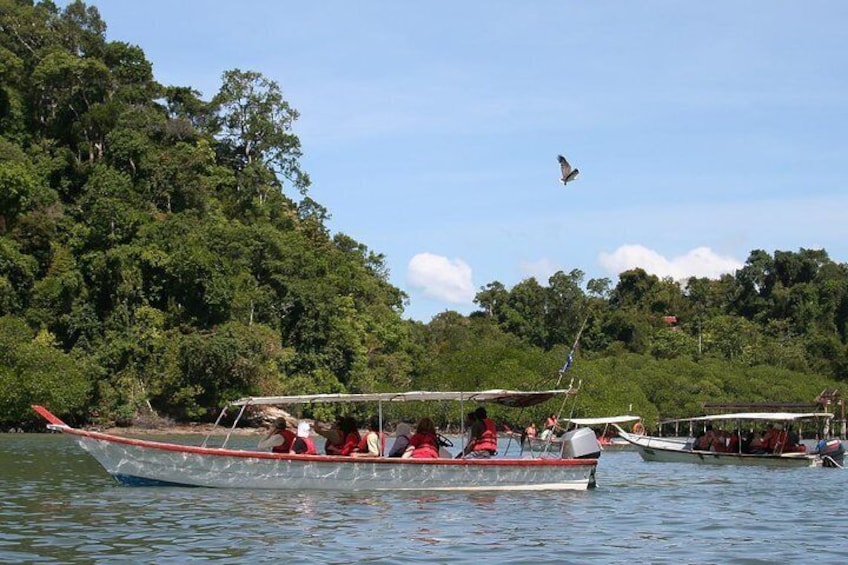 Langkawi Island Hopping Tour: Scenic Boat Ride & Return Transfers 1