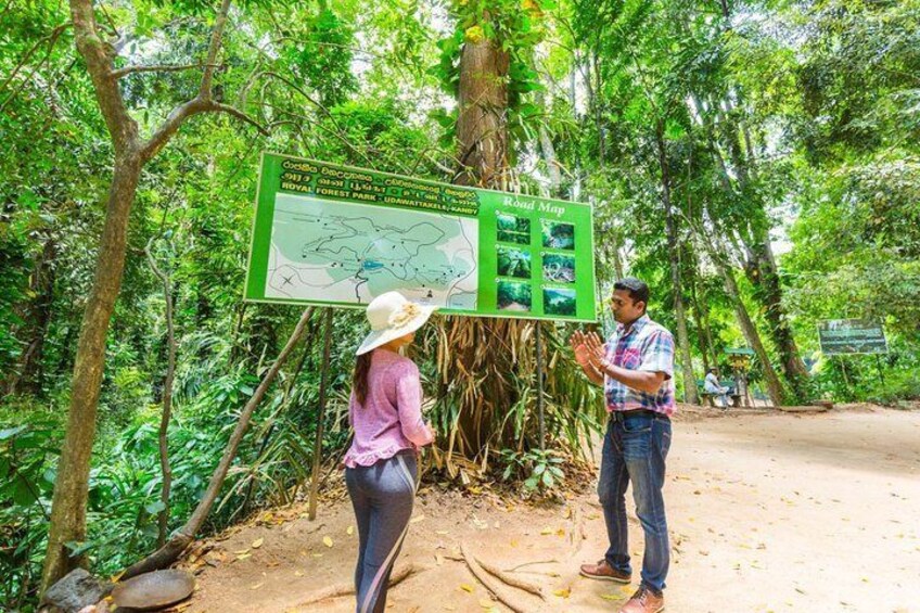 Visit to Udawatta Kele Forest, Kandy from Bentota 1