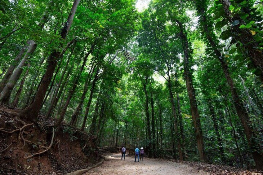Visit to Udawatta Kele Forest, Kandy from Bentota 5