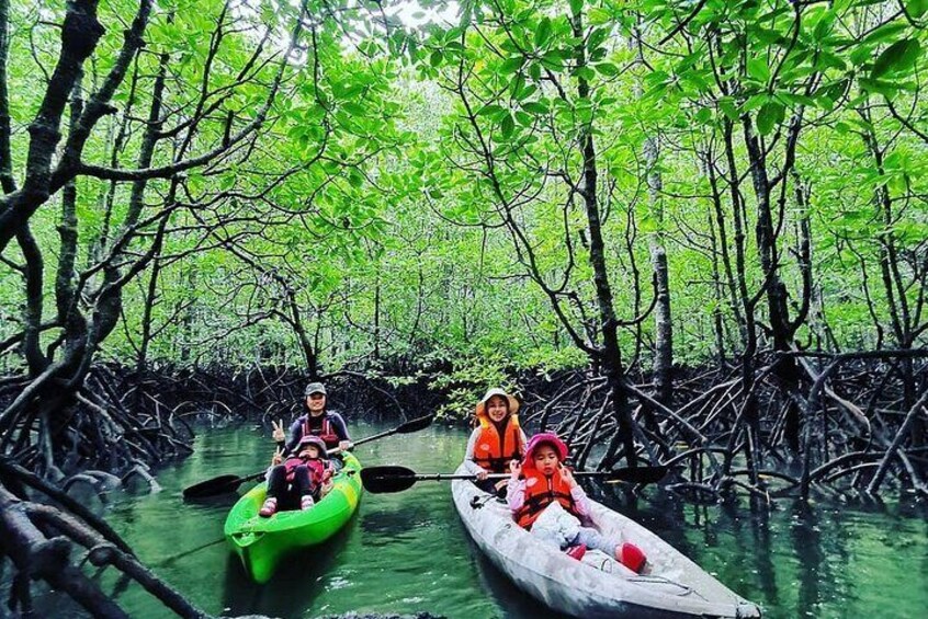 Langkawi Adventure Tour : Mangrove Kayaking with Private Pickup 2