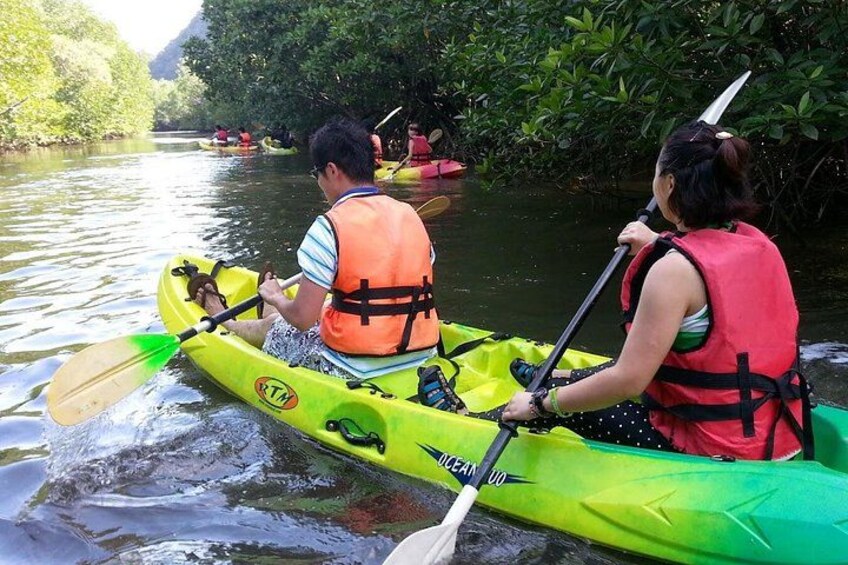 Two people kayaking on a river surrounded by greenery. 2