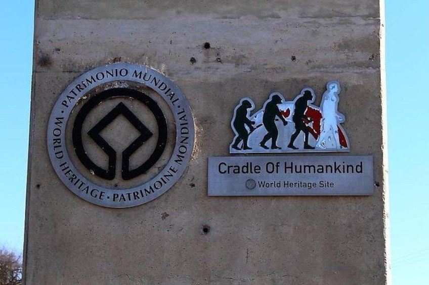 Cradle of Human Kind Tour and Lesedi Cultural Village Day Tour 4