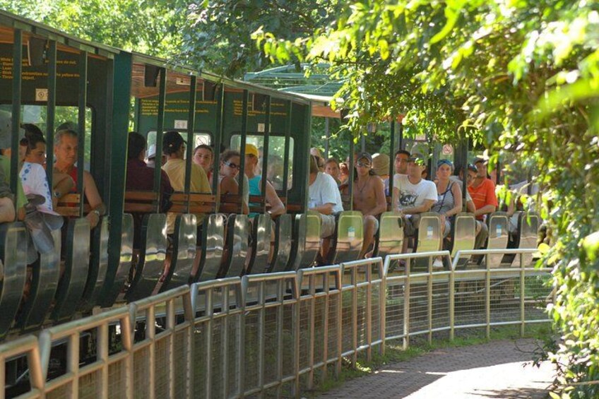 A tram with passengers seated inside, surrounded by greenery. 2