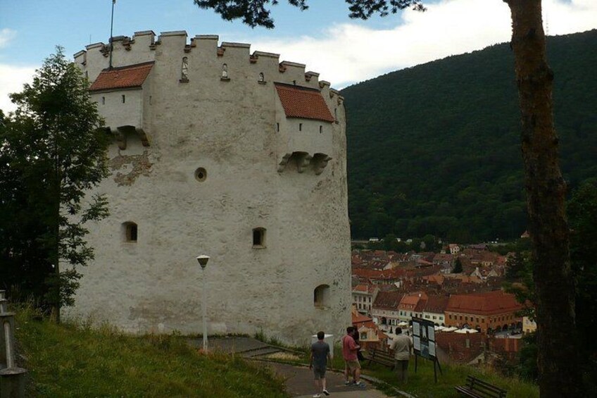 A castle with a tower, surrounded by greenery and a town in the background. 4