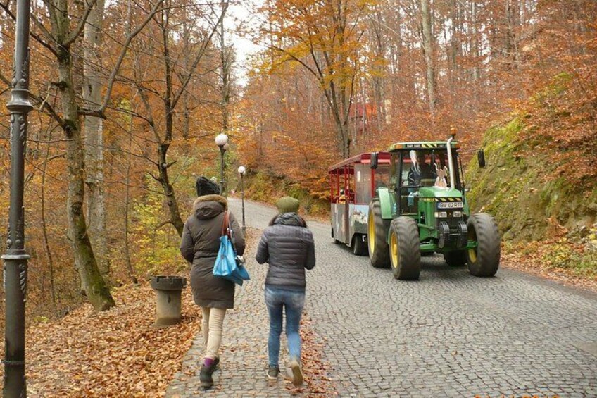 A paved path, a green tractor, and two people walking. 3