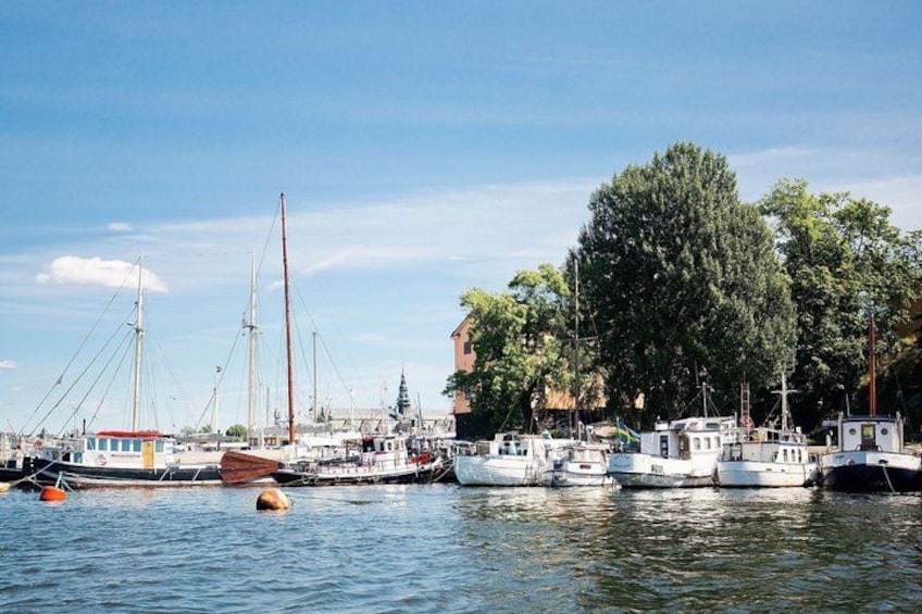 Un port où plusieurs bateaux sont amarrés, un grand arbre et des bâtiments en arrière-plan. 3