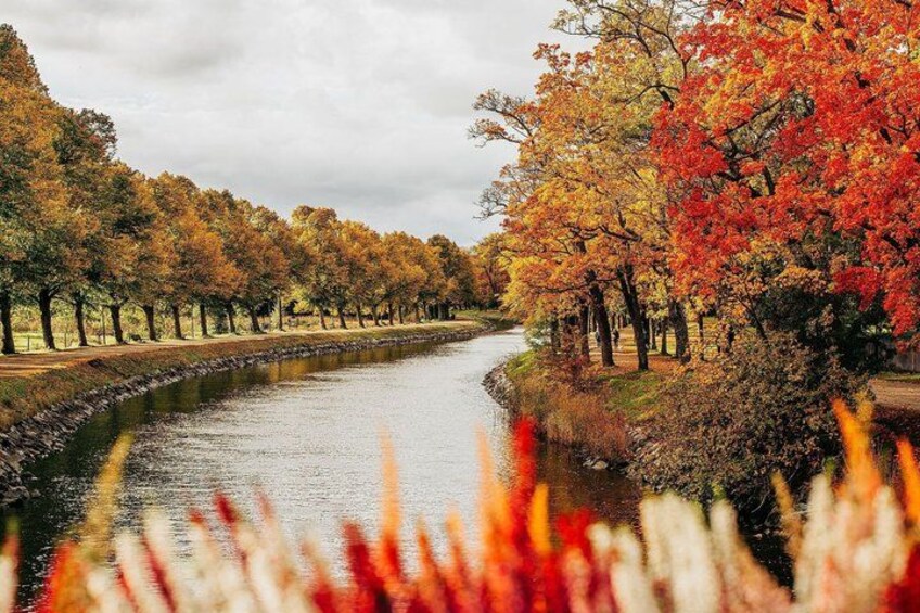 Un río con árboles a ambos lados, algunos con hojas otoñales. 4