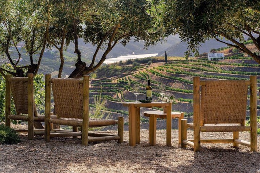 A rustic outdoor seating area with woven chairs and a table, set against a backdrop of terraced vineyards and a sign reading 'PONTA NOVA'. 5