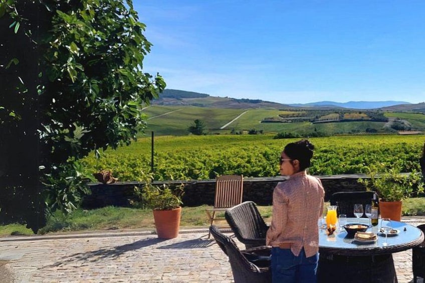 A person sitting at a table with a view of a vineyard and hills in the background. 3
