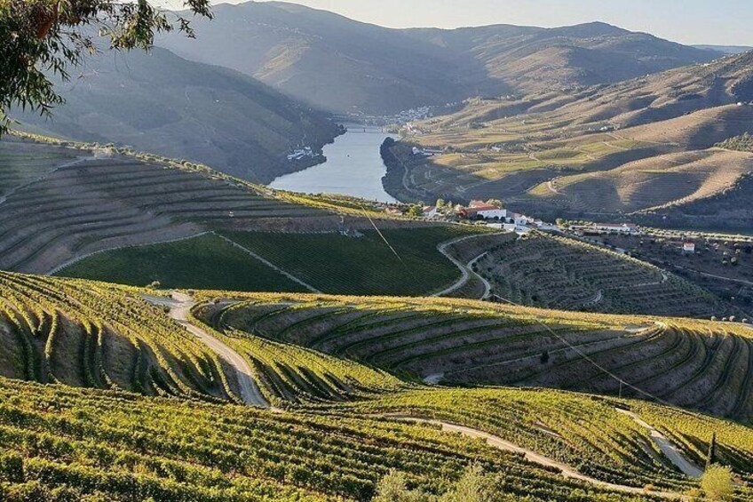 Terraced vineyards, a river, and a small settlement. 2