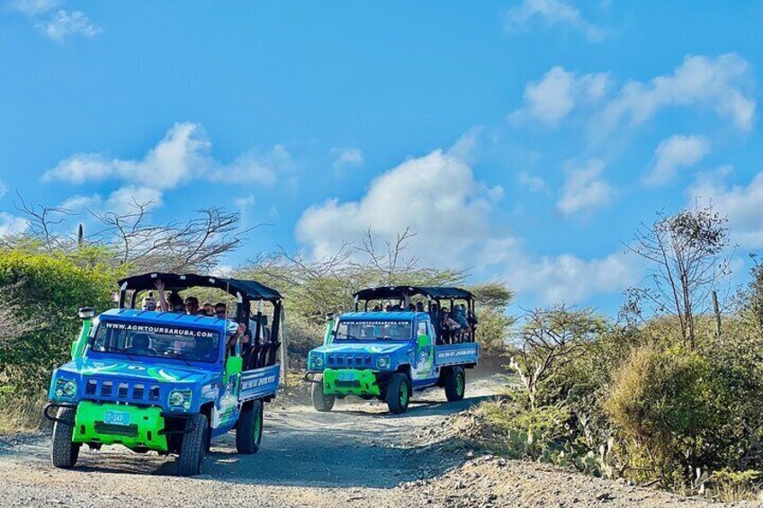 Aruba Jeep Tour: Natural Pool, Caves and Baby Beach Adventure 3