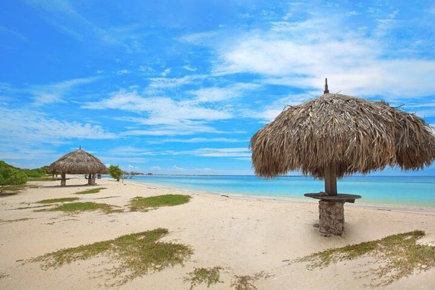 Baby Beach Aruba 5