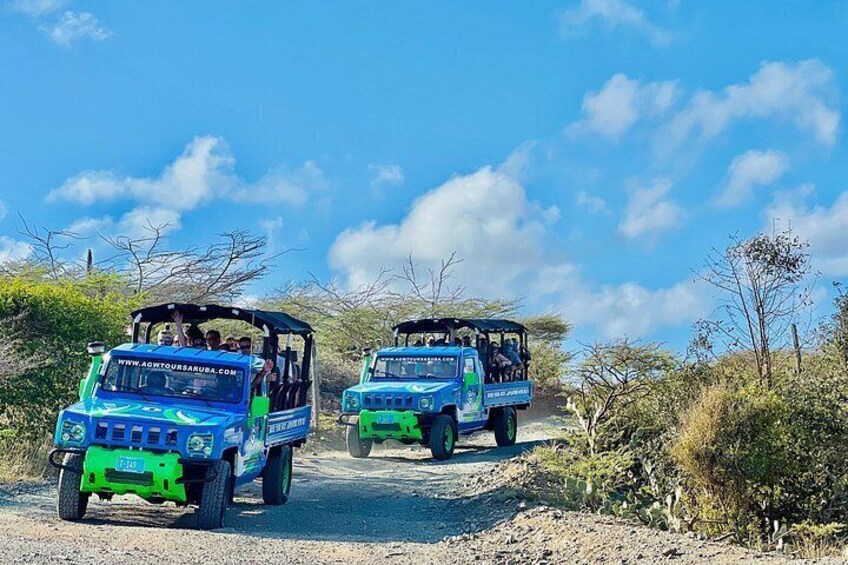 Aruba Jeep Tour: Natural Pool, Caves and Baby Beach Adventure 5