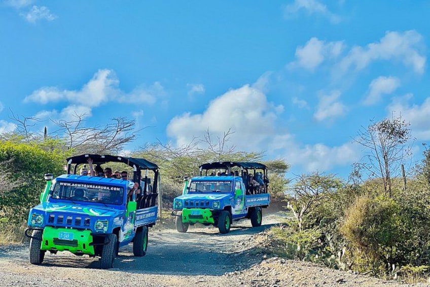 Aruba Jeep Tour: Natural Pool, Caves and Baby Beach Adventure 5