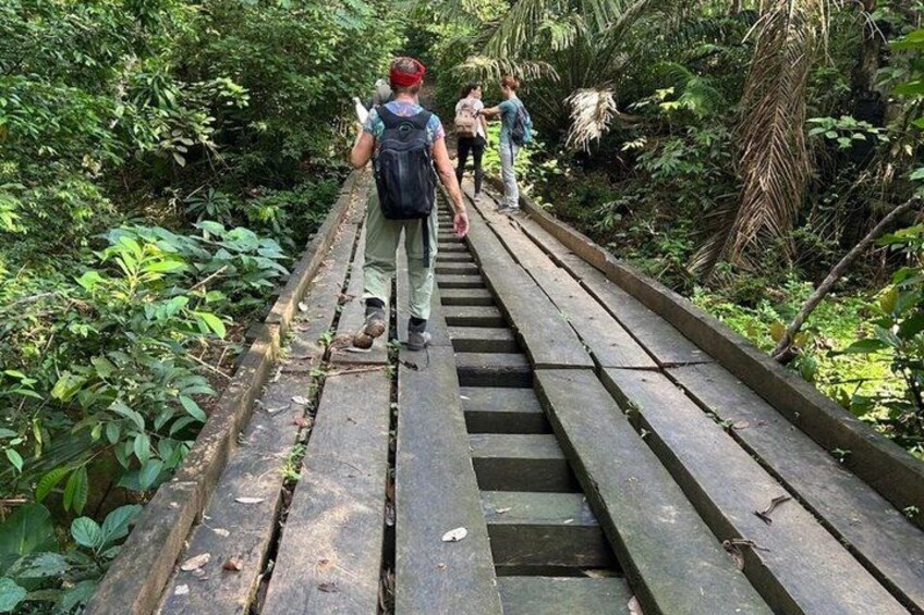 A wooden bridge in a forested area with hikers walking on it. 4