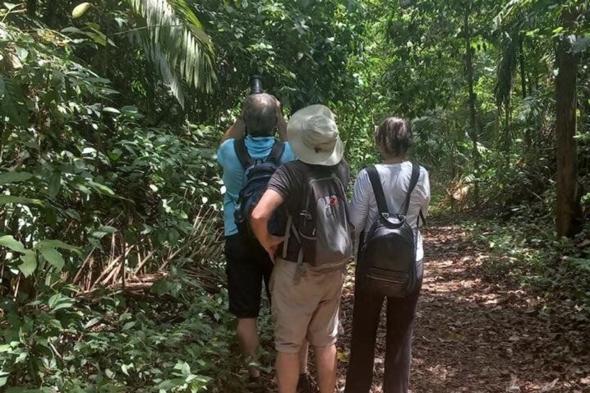 Three people hiking in a forested area with dense vegetation and a dirt path. 3