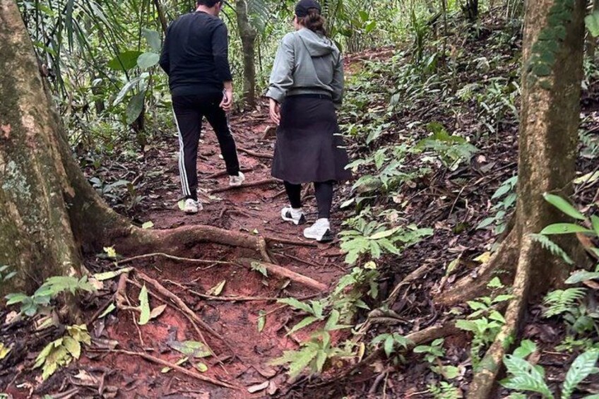 Two people walking on a forest trail surrounded by trees and underbrush. 5