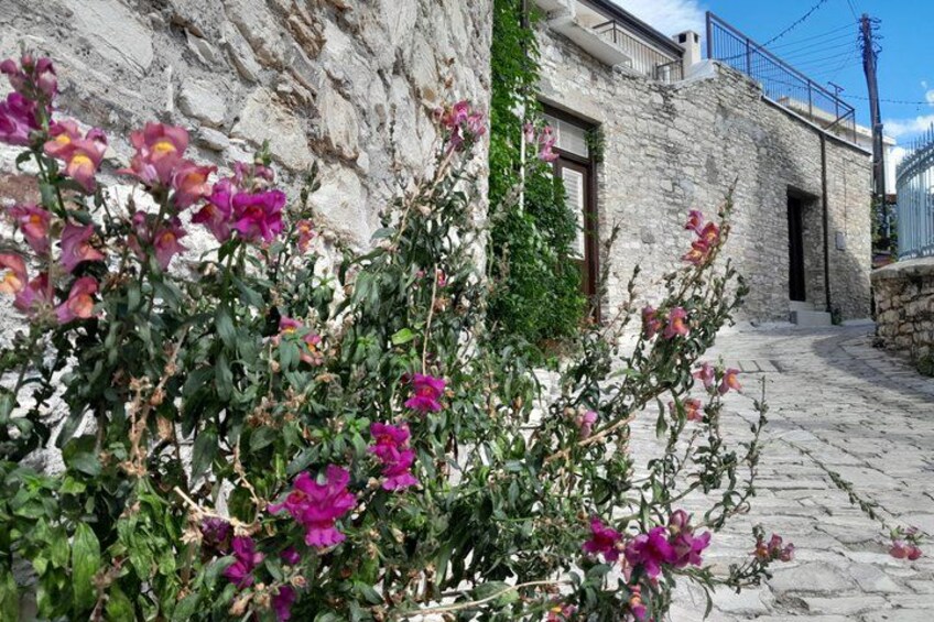 Nicosia Larnaka Lefkara Tour from Ayia Napa, Protaras, Larnaka 5