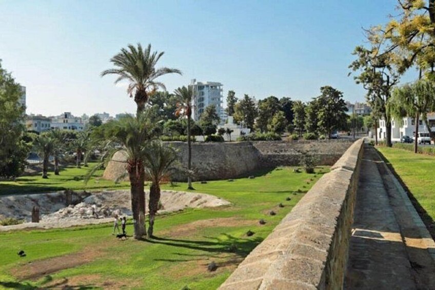 A grassy area with palm trees and a stone wall. 4