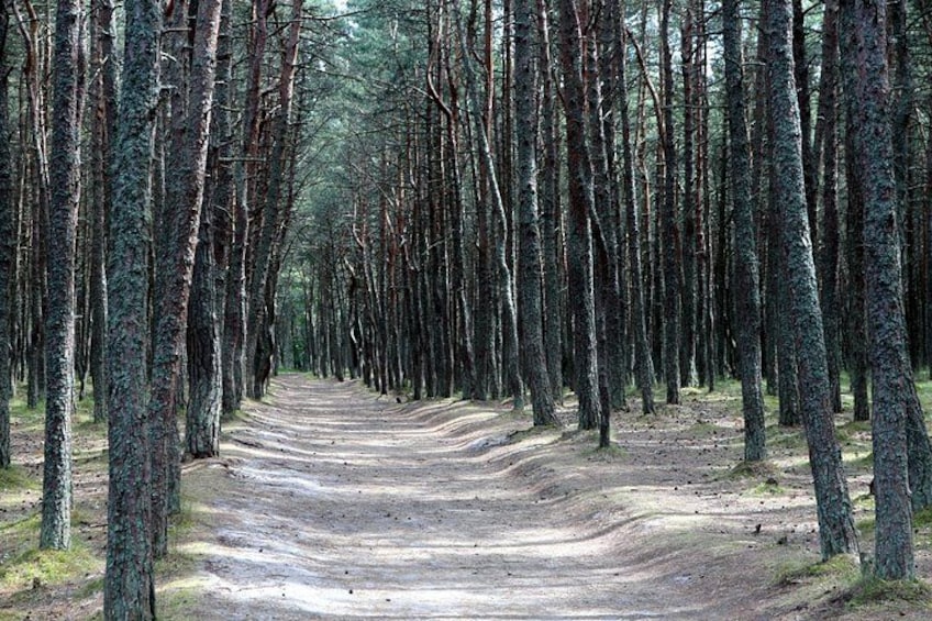 Curonian Spit 5