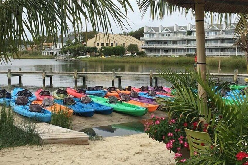 Shallow Rehoboth Bay is great for beginners and families. 3