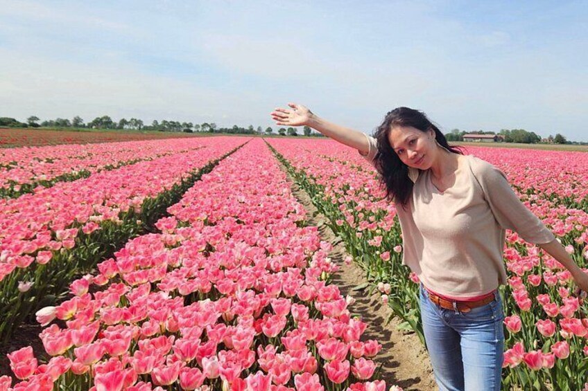 A person standing in a field of pink flowers. 4