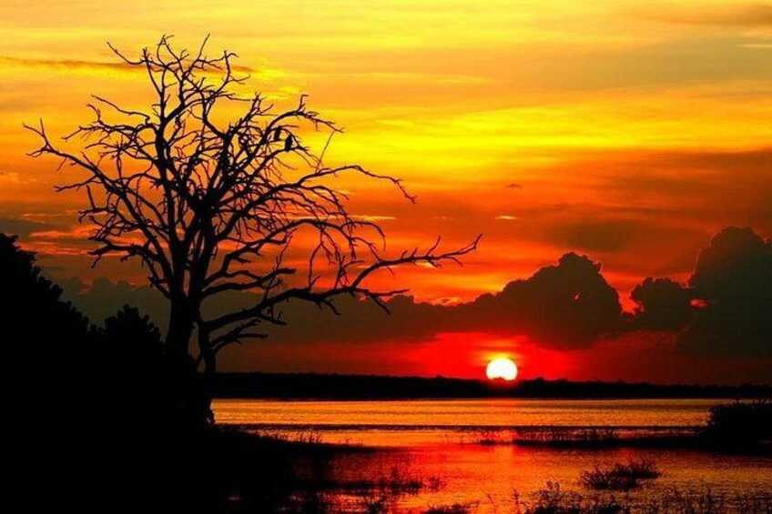 A sunset over a body of water with a leafless tree silhouetted against the sky. 2