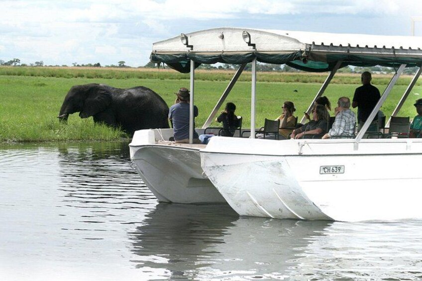Sunset Cruise on Chobe River with Hotel Pickup from Kasane 1